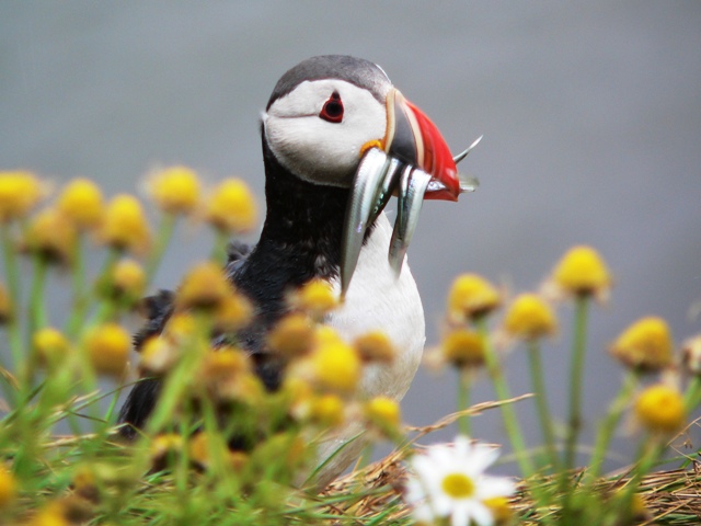 Iceland-023.jpg