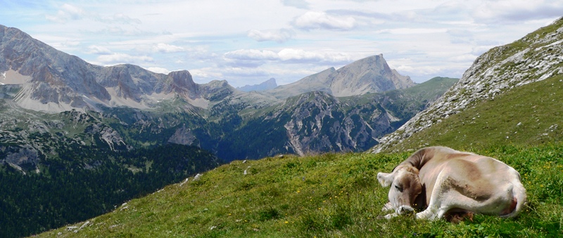 Dolomity_07-2010_ 075m.jpg