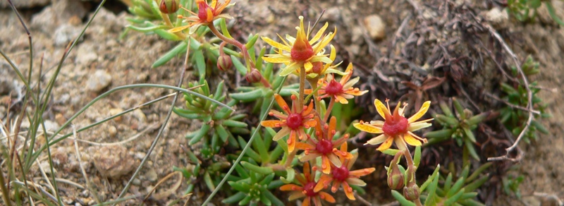 Dolomity_07-2010_ 107m.jpg