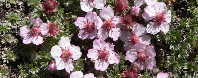 Dolomity_07-2010_ 273m.jpg