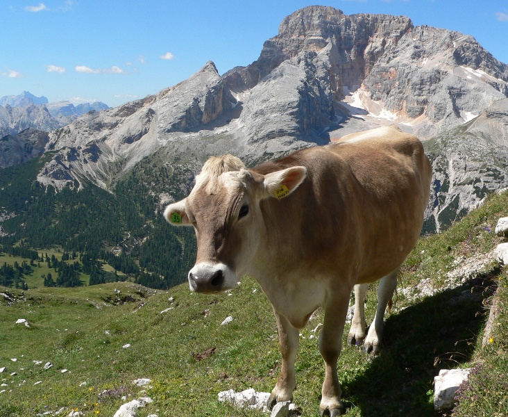 Dolomity_07-2010_ 024m.jpg
