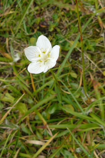Dolomity_09-2010_ 111m.jpg