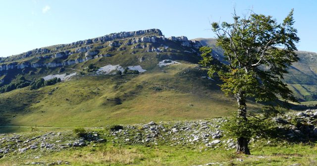 Dolomity_09-2010_ 327m.jpg
