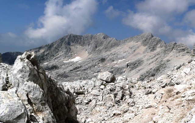 Kanin_05.jpg