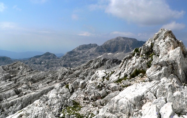Kanin_06.jpg