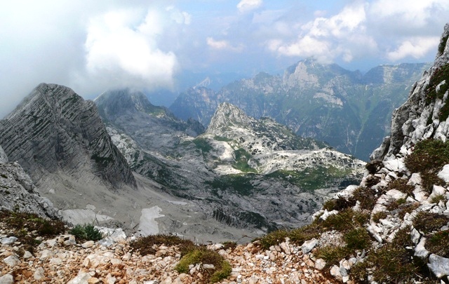 Kanin_10.jpg