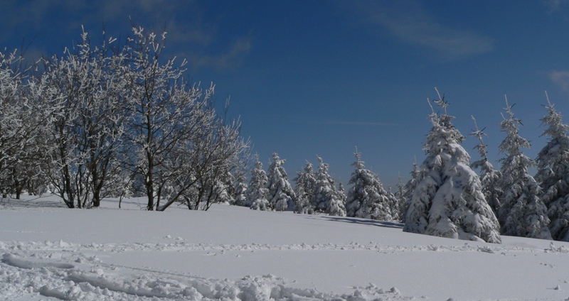 A_Javorovy__015.jpg